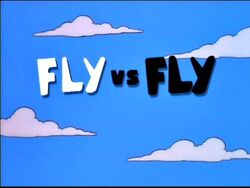 Fly vs