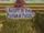Return to the Pumpkin Patch