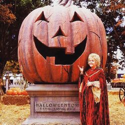 Halloweentown Jack O'Lantern | Halloweentown Wiki | Fandom