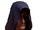 Scriptor