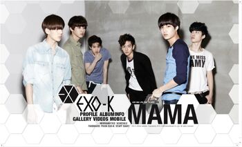 Exok