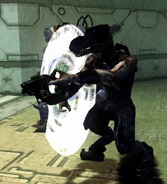 Jackal | Halo SPV3 Wiki | Fandom