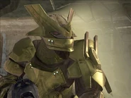 Brutecaptaingoldy.jpg (24 kB) Armadura dorada de un Jiralhanae Capitán Mayor