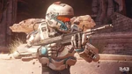 Spartan Tanaka wielding the DMR.