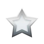 The Silver star.