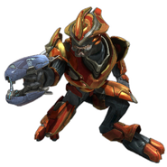 Sangheili Majors: some of the most reliable and trusted soldiers in the Covenant Army, the Elite Major will often lead lances of Elite Minors into battle. They also serve as first mates aboard starships, one-time stealth warriors and pilots.