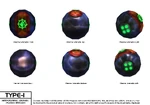 A study of the Plasma grenade.