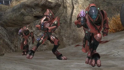 User Blog Wilc0 Halo101 Sangheili Halo Alpha Fandom