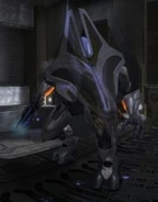 175px-CouncilEliteCrouch.jpg (9 kB)