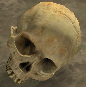 halo 2 iwhbyd skull