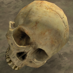 Skull/Halo 2