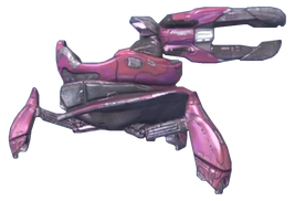 Halo-CEA Shade 1