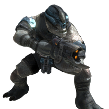 Jiralhanae Halo Alpha Fandom Pronunciation of the name tanguy (23 language audio files). jiralhanae halo alpha fandom