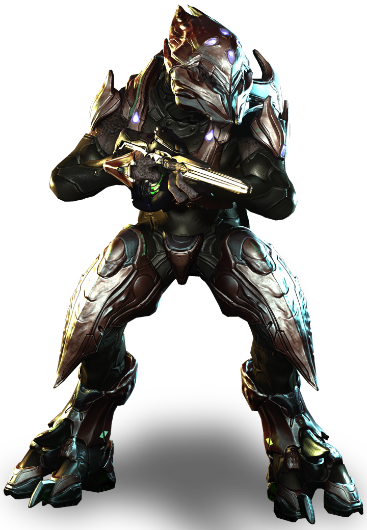 halo 4 covenant species