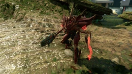 H5G Warzone Bellator