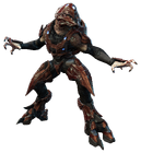 The Sangheili Zealot, unarmed, as it appears in Halo 4.