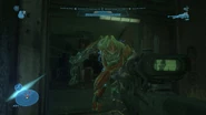 Un Sangheili Mayor atacando al Spartan-B312