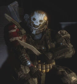 halo reach emile skull