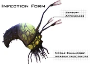 Vaina de Infección en Halo: CE