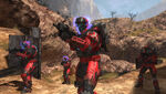 The blue-flame employee-only version in Halo: Reach.