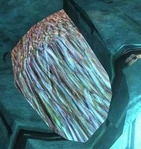 Lekgolo found in the core of a Scarab.