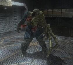 Infected20Brute.jpg