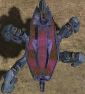 Ein Scarab von oben.