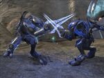 Two Sangheili clash swords.