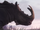 Rhino - Halo Infinite.png