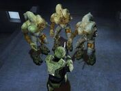 1209876658 Flood.jpg (24 kB) John-117 contra tres Formas de Combate