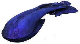 Reach - Supercarrier