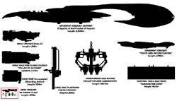 Real Sizes in the Halo Universe, Halo Alpha