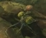 Flood stalk