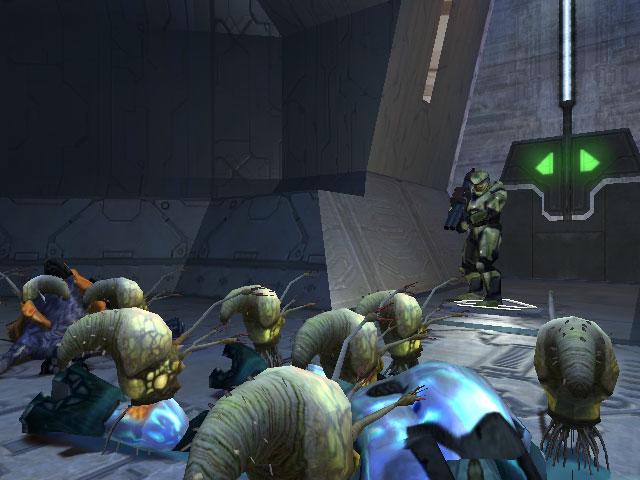 halo 1 flood