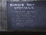 Bungie Day Specials
