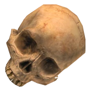 Skull