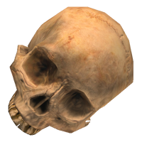 Skull