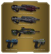 Bonus Weapons Skins