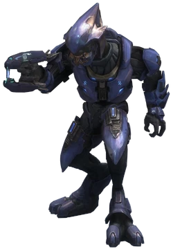 Halo Elite Eiferer Hintergrundbild