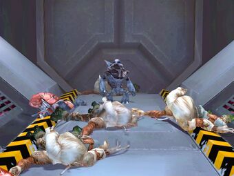 Grunt Assetato