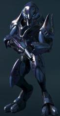 A Special Operations Sangheili wielding a Type-31 Rifle in Multiplayer.