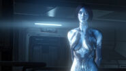 Halo cortana - Die hochwertigsten Halo cortana unter die Lupe genommen