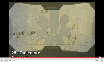Navidad (25 de Diciembre)