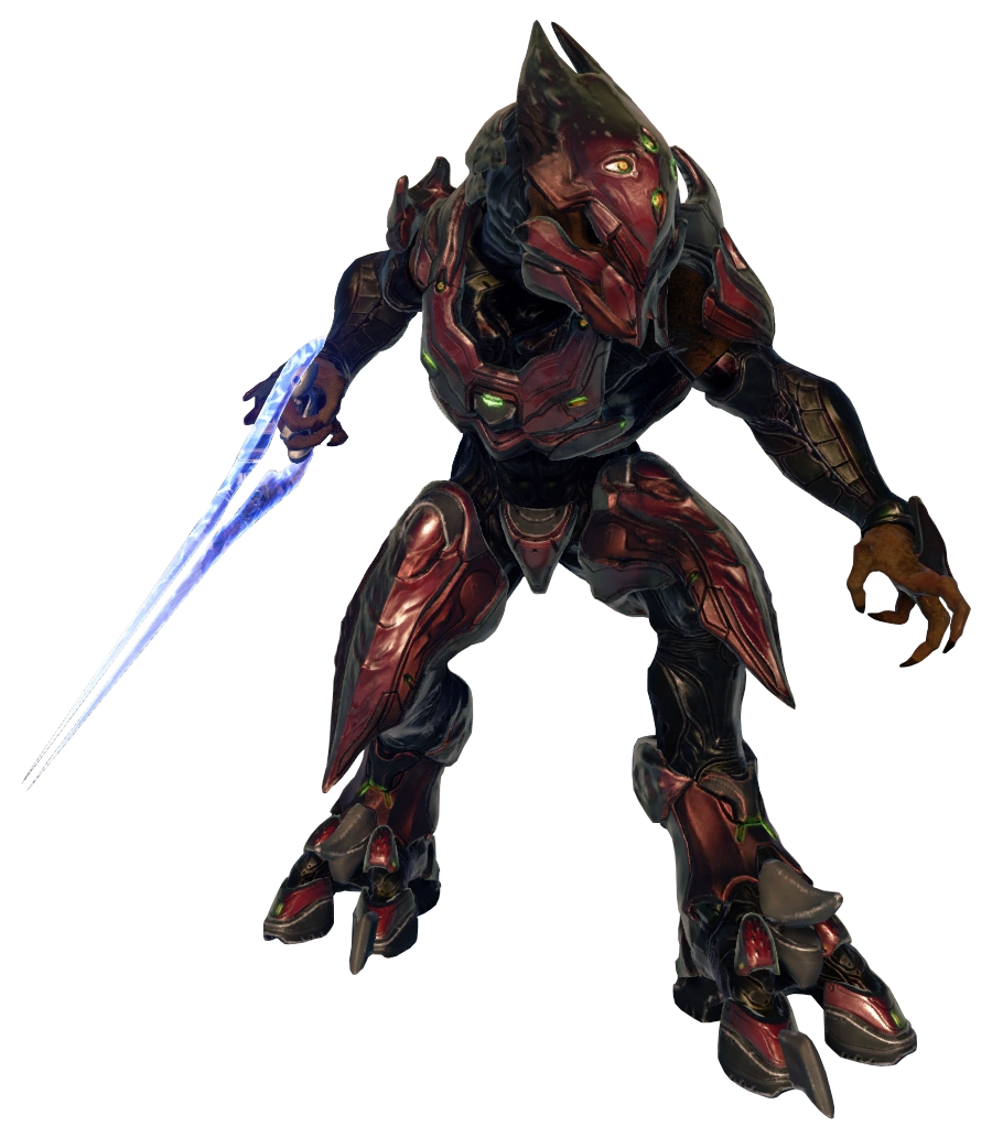 Sangheili Zealot Halopedia Fandom