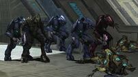 Thel 'Vadam leading a small group of Sangheili on The Ark