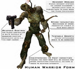 Warrior Form Human2