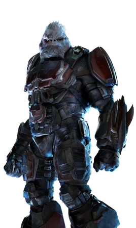 HW2 Decimus