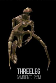 Threeleg