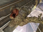Flood Marine 2