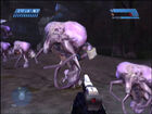 A group of the concept Engineers from a Halo: Combat Evolved mod of the level "The Silent Cartographer."
